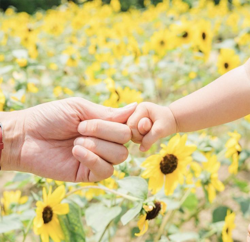 花畑で指をつなぐ親子の手
